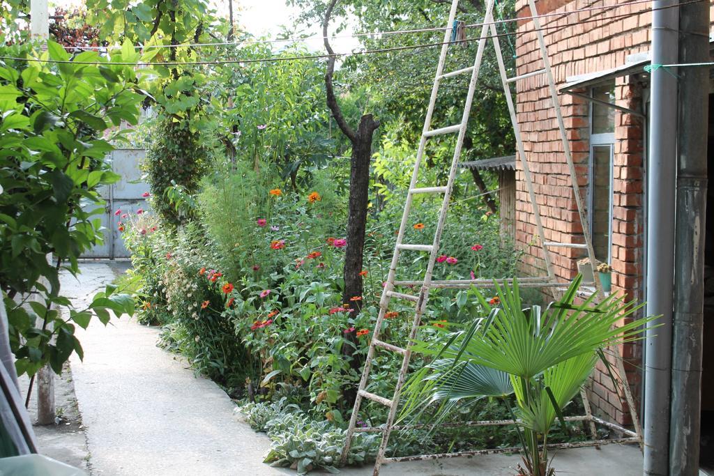 Tlt Guest House Telavi Bagian luar foto