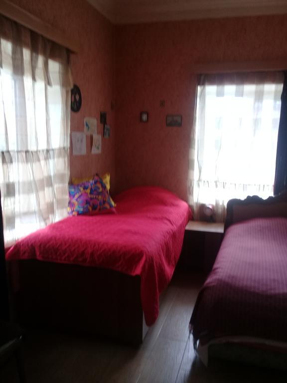 Tlt Guest House Telavi Bagian luar foto